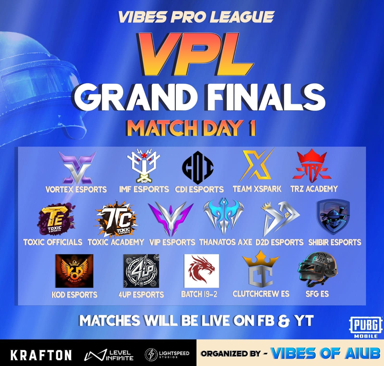 Vibes Pro League Finalist